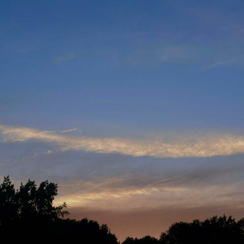 all the things you do (girl of my dreams) album art