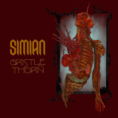 Gristle & Thorn album art