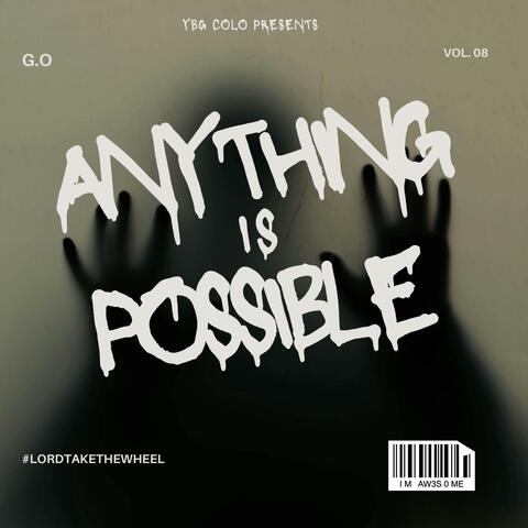 ANYTHING IS POSSIBLE (Radio Edit) album art