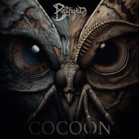 Cocoon album art