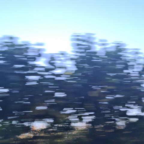 Late Aug album art