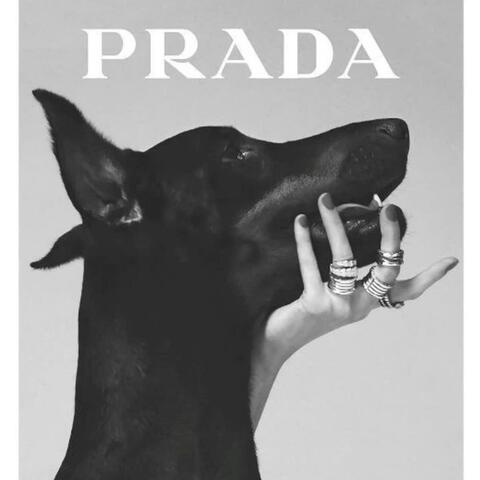 PRADA album art