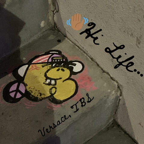 Hi Life... album art