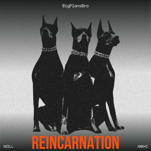 Reincarnation album art