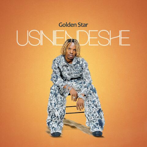 USINENDESHE album art