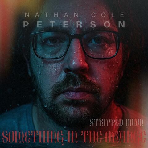 Something In The Orange (Stripped Down) album art