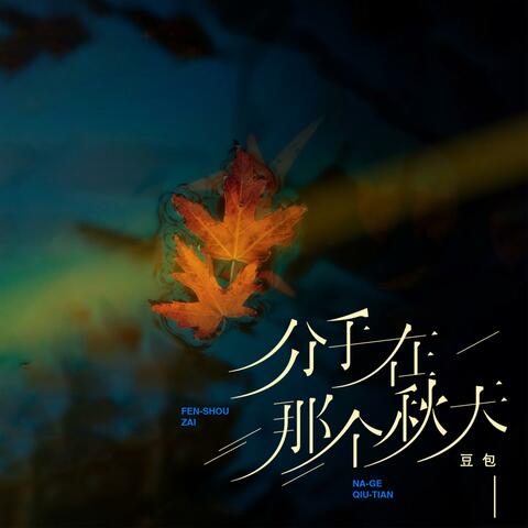 分手在那个秋天 (DJ阿卓版) album art