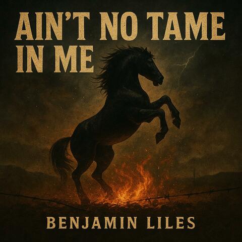 Ain't No Tame in Me album art