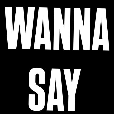 Wanna Say album art