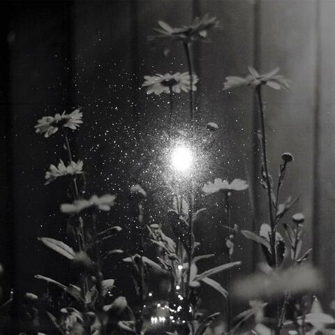 this story's evening album art