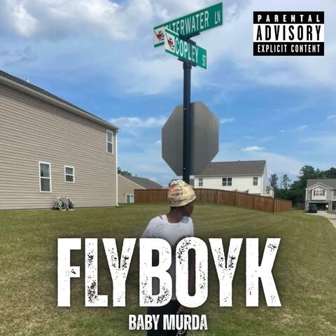 FLYBOYK album art