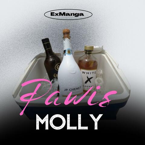 MOLLY (feat. 4EVER RECORDS & EXMANGA) album art