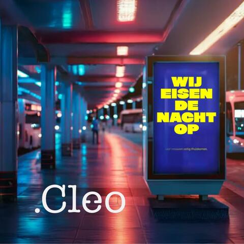 Wij eisen de nacht op album art
