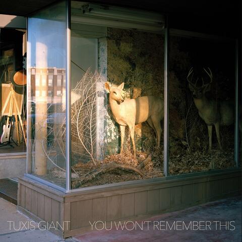 You Won't Remember This album art
