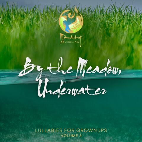 Lullabies for Grownups, Vol. 3 album art