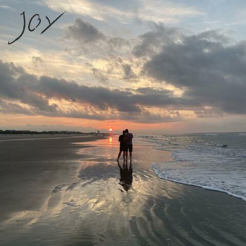 JOY album art