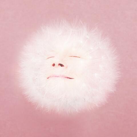 Siestas ahí album art