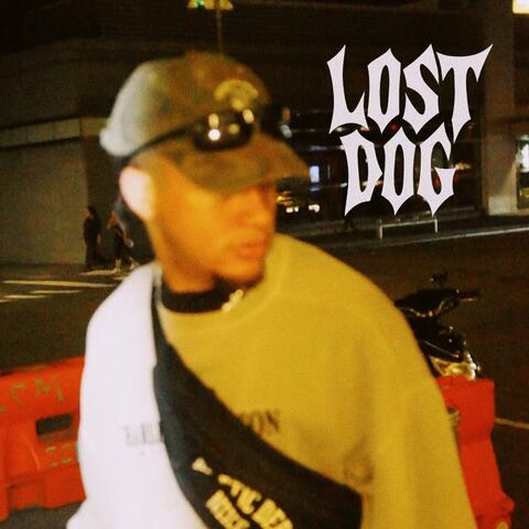 LOST DOG album art