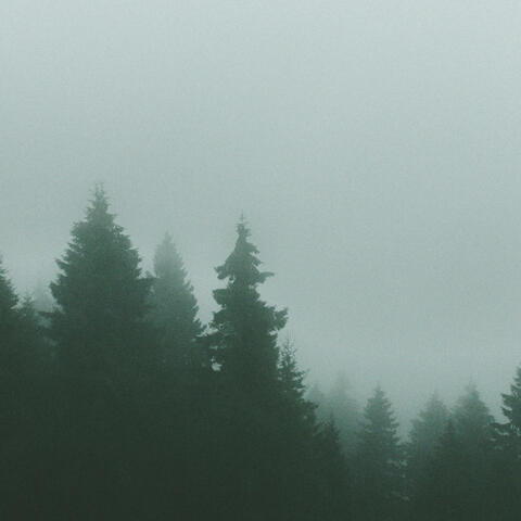 Soft Breeze album art