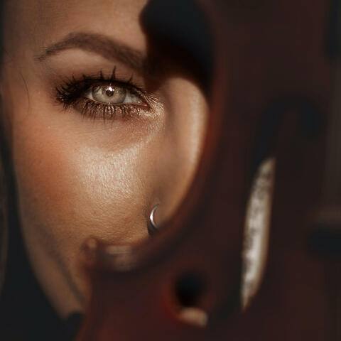 Rise album art