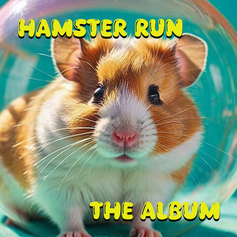 Hamster Run album art