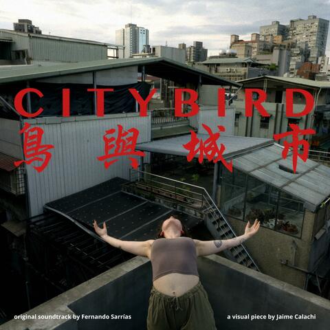 鳥與城市 (Citybird) album art