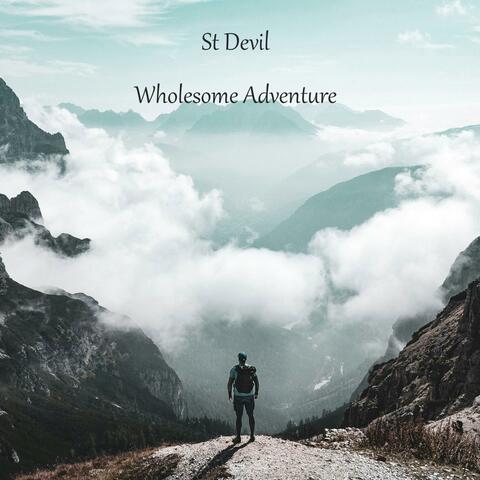 Wholesome Adventure album art