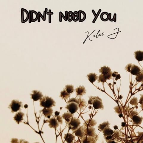 Didnt Need You album art