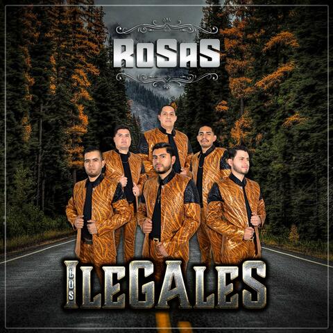 Rosas album art