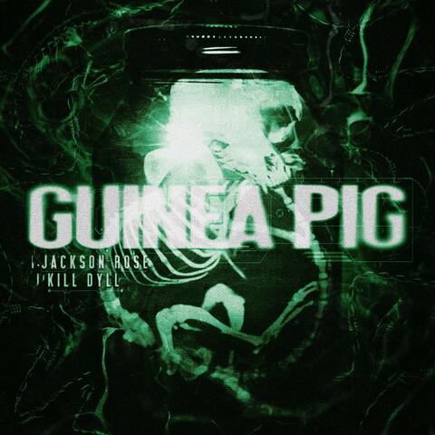 GUINEA PIG (feat. Kill Dyll) album art