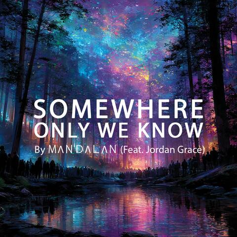 Somewhere Only We Know (feat. Jordan Grace) album art