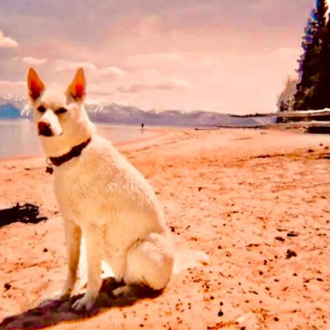 Mountain Queen album art