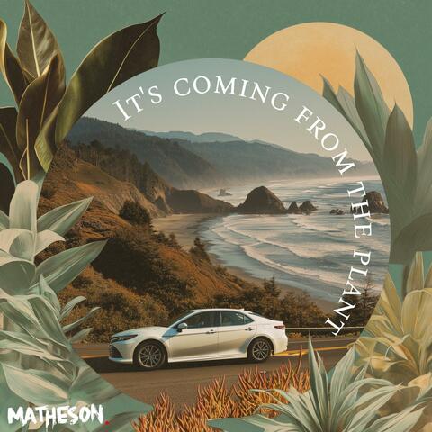 It's Coming From The Plant album art