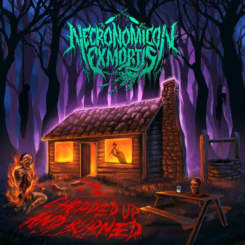 Chopped Up and Burned album art
