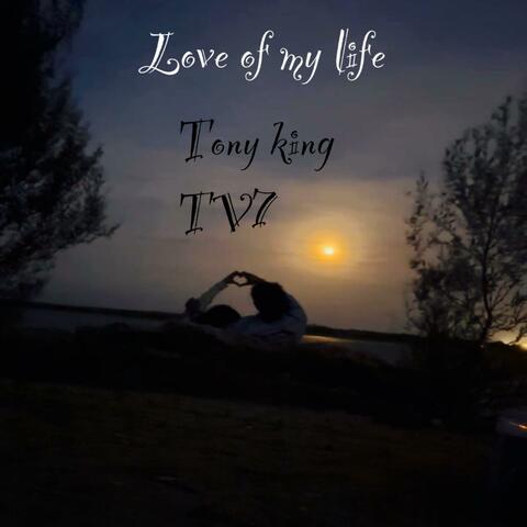Love of my life (Radio Edit) album art