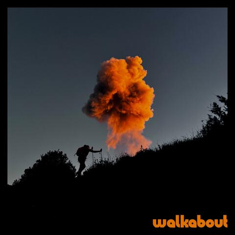 walkabout album art