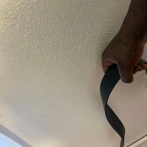 SpankShit! album art