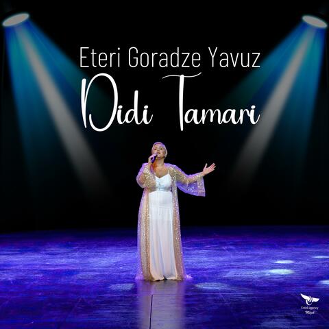 Didi Tamari album art