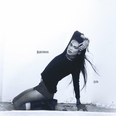 Elektronik album art