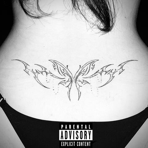 BUTTERFLIES album art