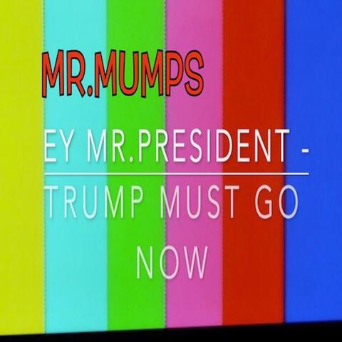 Ey Mr.President (Trump Must Go Now) (Special Version "I Hope there is hope. For all of us") album art