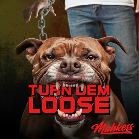 Turn dem loose album art