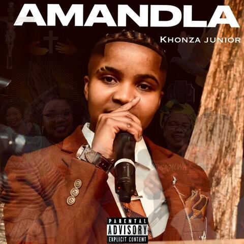 Amandla album art