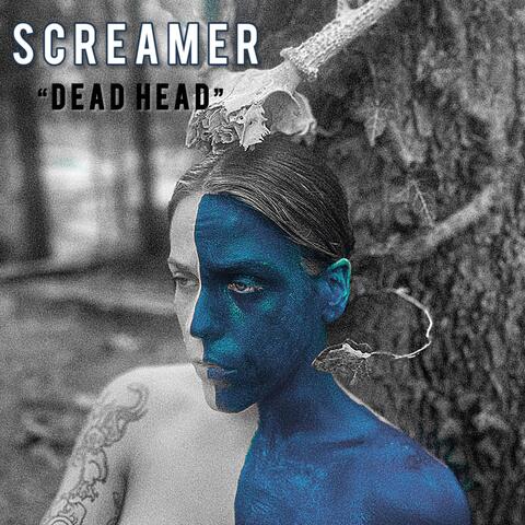 Dead Head (feat. Abby Fowler) album art