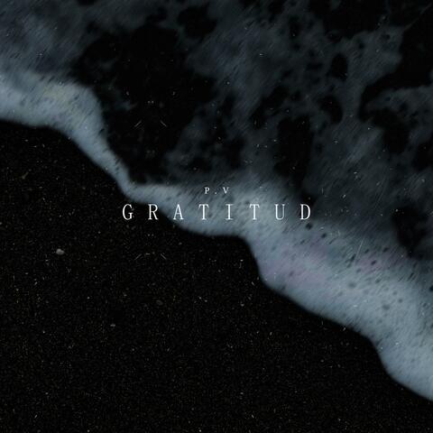 Gratitud (P.V) album art