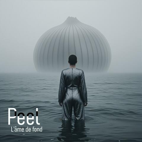 L'âme de fond album art