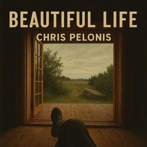 Beautiful Life album art