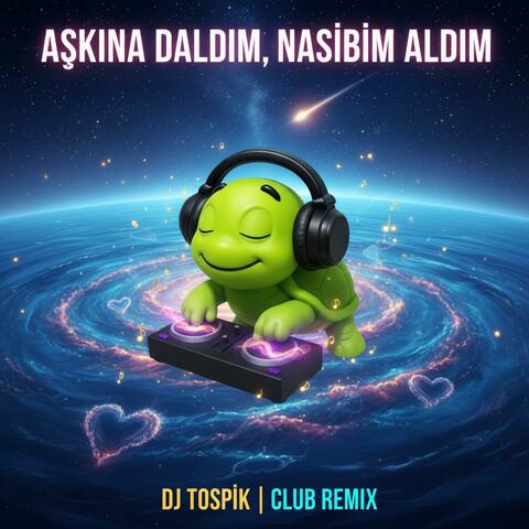 Aşkına Daldım, Nasibim Aldım (Club Remix) album art