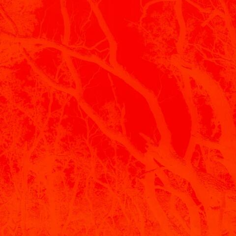 Sangre/Belikeme album art