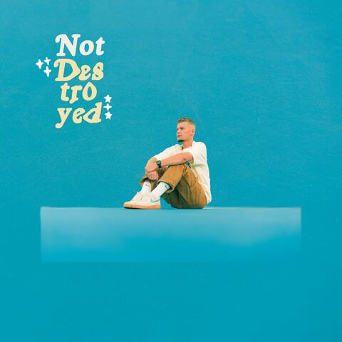 Not Destroyed album art